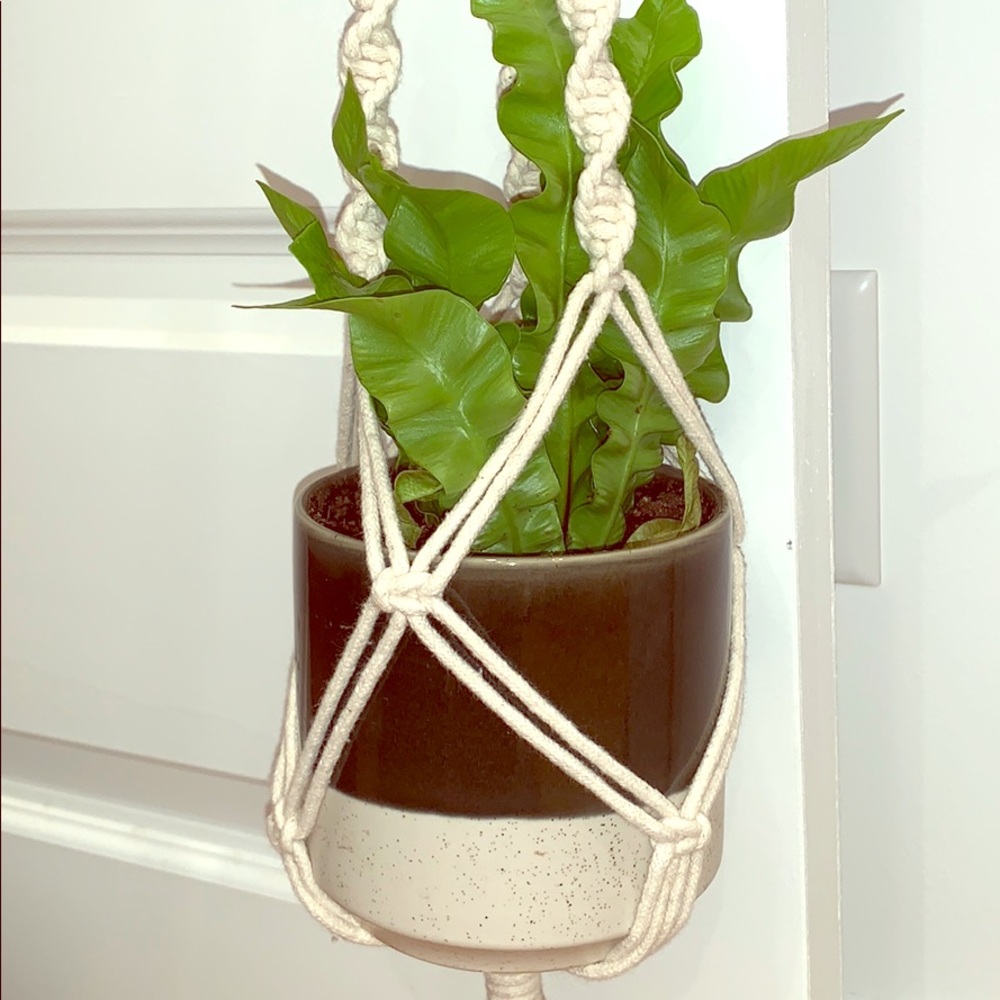 Macrame Plant Holder